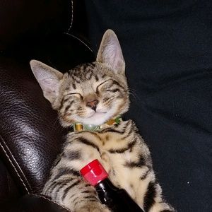 Meet your Posher, Erica